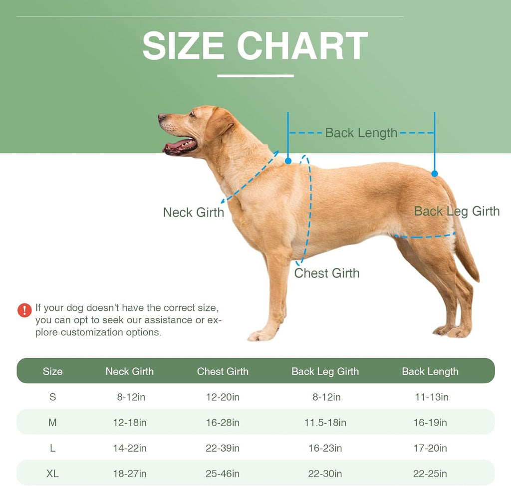 Comfort-Fit Dog Back Support Vest with Integrated Metal Stabilizers