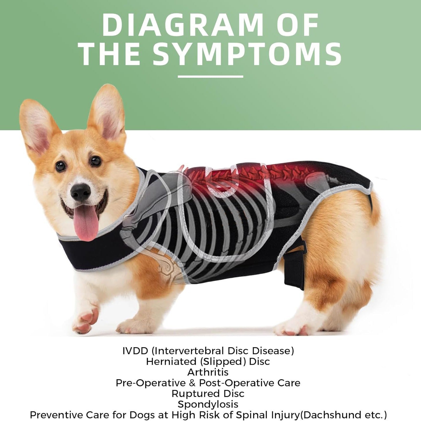 Comfort-Fit Dog Back Support Vest with Integrated Metal Stabilizers