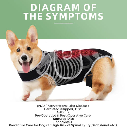 Comfort-Fit Dog Back Support Vest with Integrated Metal Stabilizers