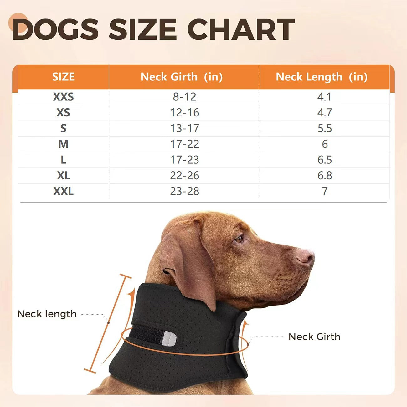 Dog Cervical Collar Neck Brace
