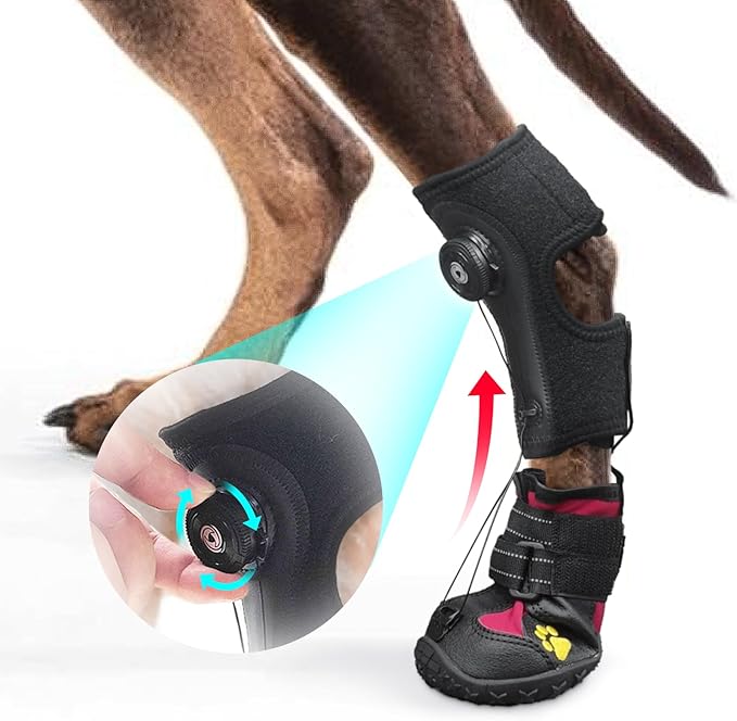 Adjustable Dog Knuckling Brace