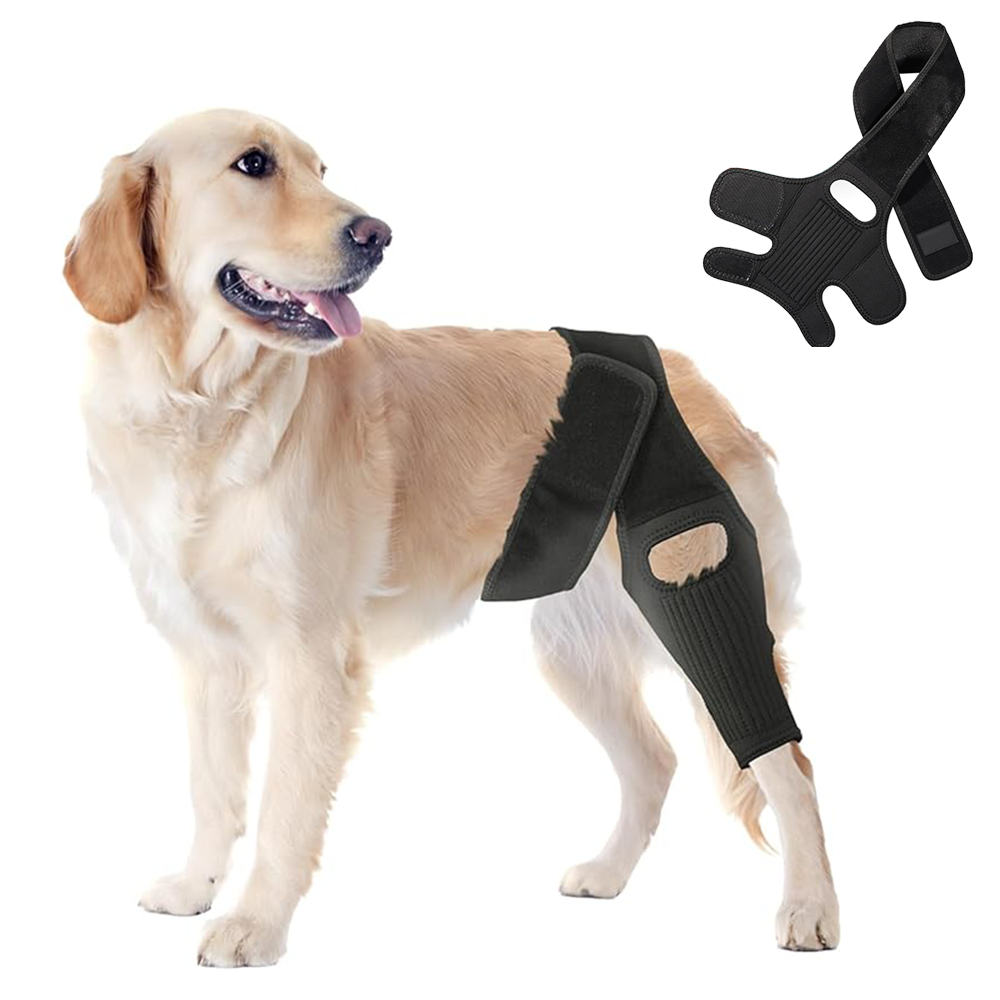 Dog ACL Knee Brace