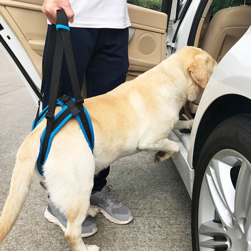 Dog Lift Harness For Large Dogs Soft Padded Adjustable Dog Back Leg Sling Dog Leg Support Harnesses