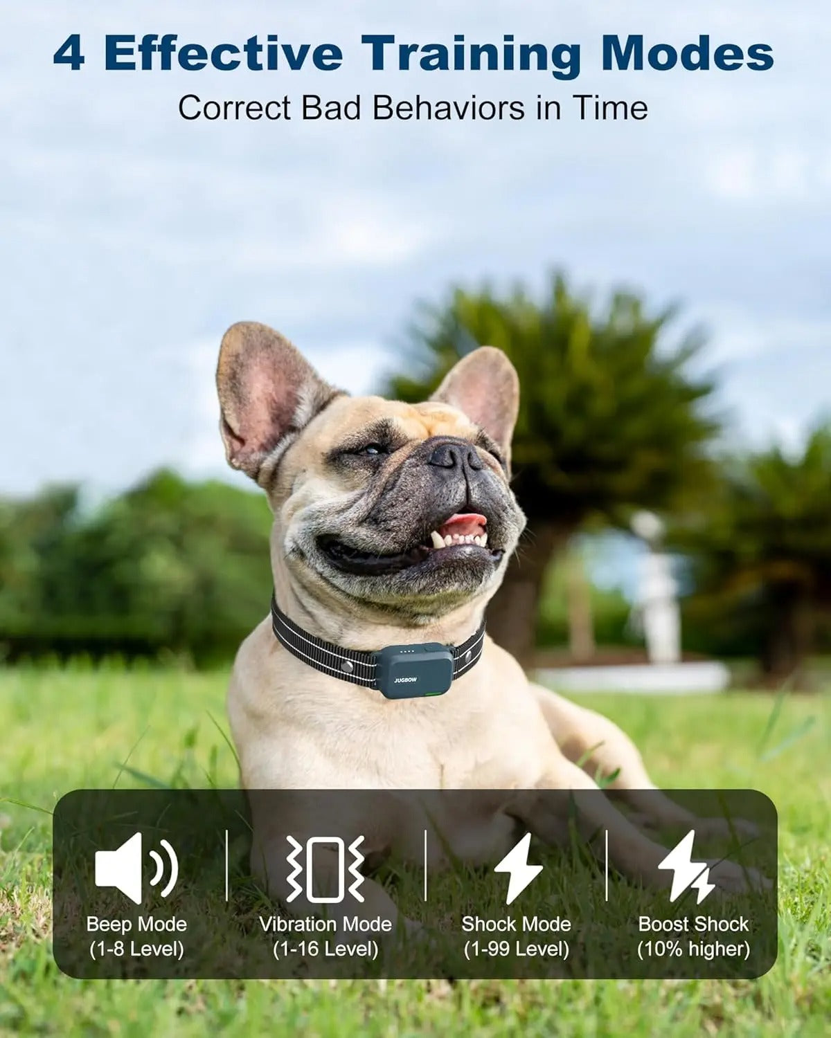 Dog Training Collar with Remote Dog Shock Collar 2 Dogs with 4 Training Modes