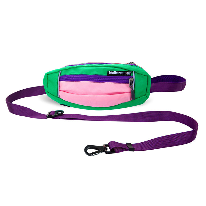 No Pull Front Leash Clip For Medium Dogs