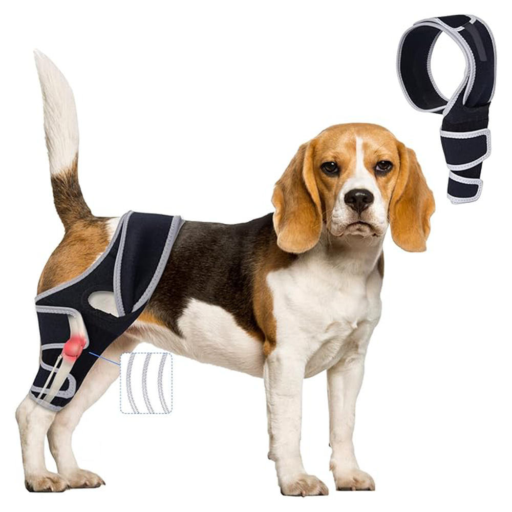 Professional Dog ACL/CCL Knee Brace with 6-Metal Stabilizers