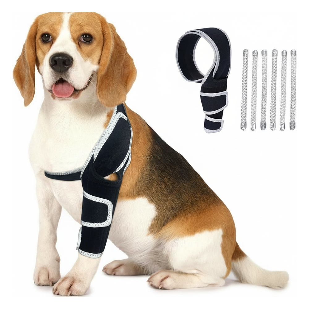 Professional Dog ACL/CCL Knee Brace with 6-Metal Stabilizers