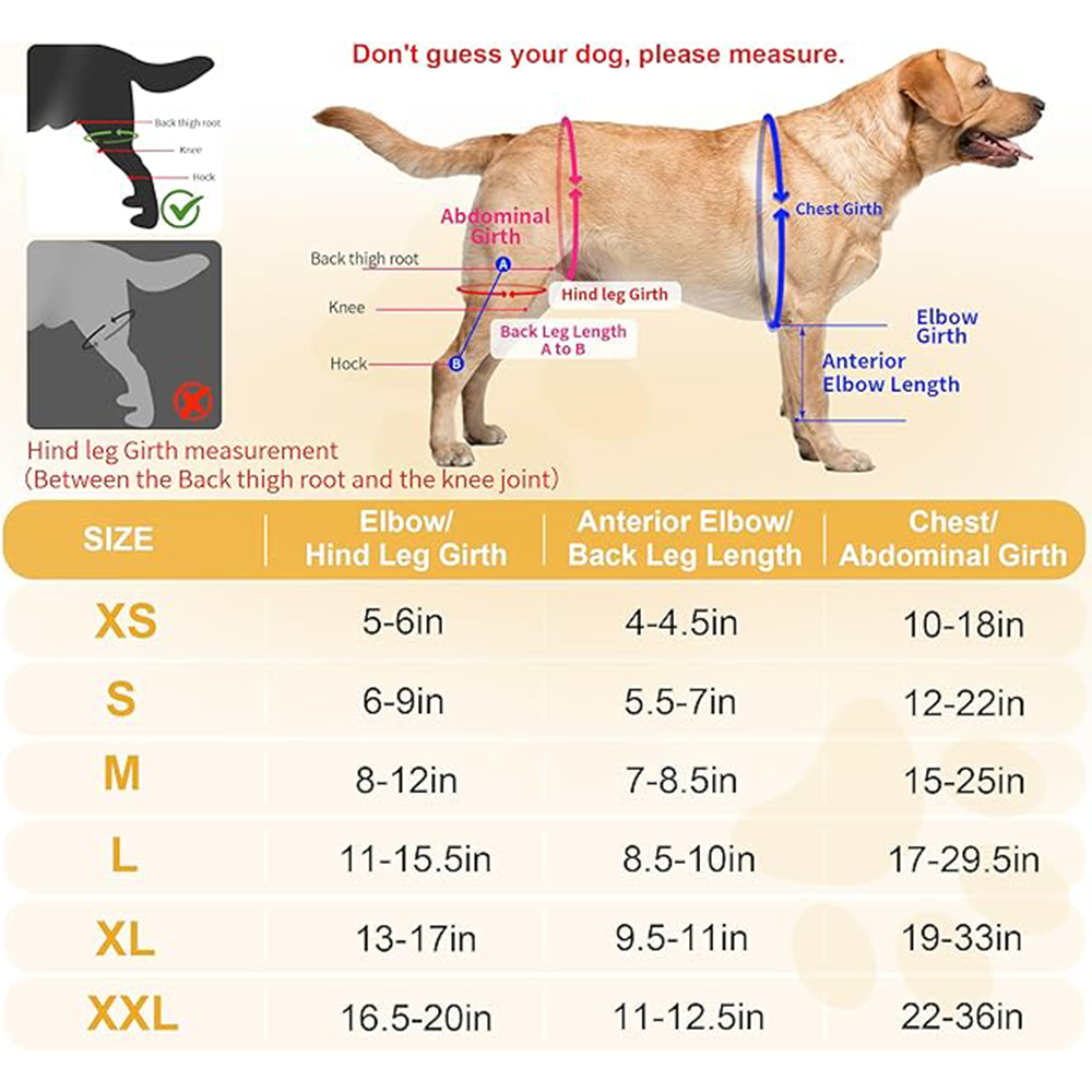 Professional Dog ACL/CCL Knee Brace with 6-Metal Stabilizers