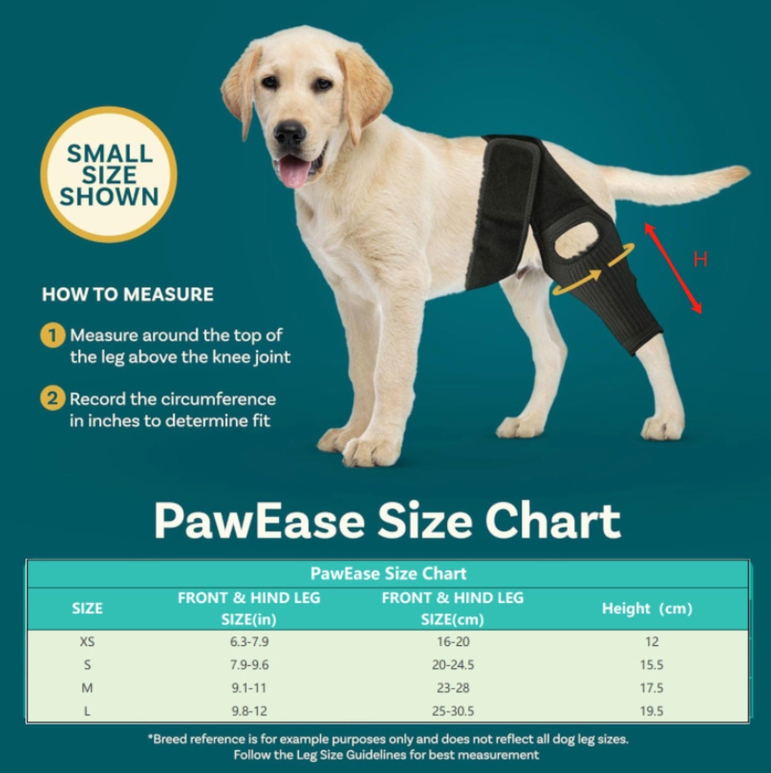 Dog ACL Knee Brace