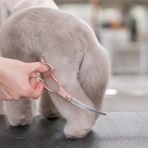 6.5 Inch Curved Pet Grooming Scissors for Dogs Cats, Rose Gold Up Down Trimming Shears