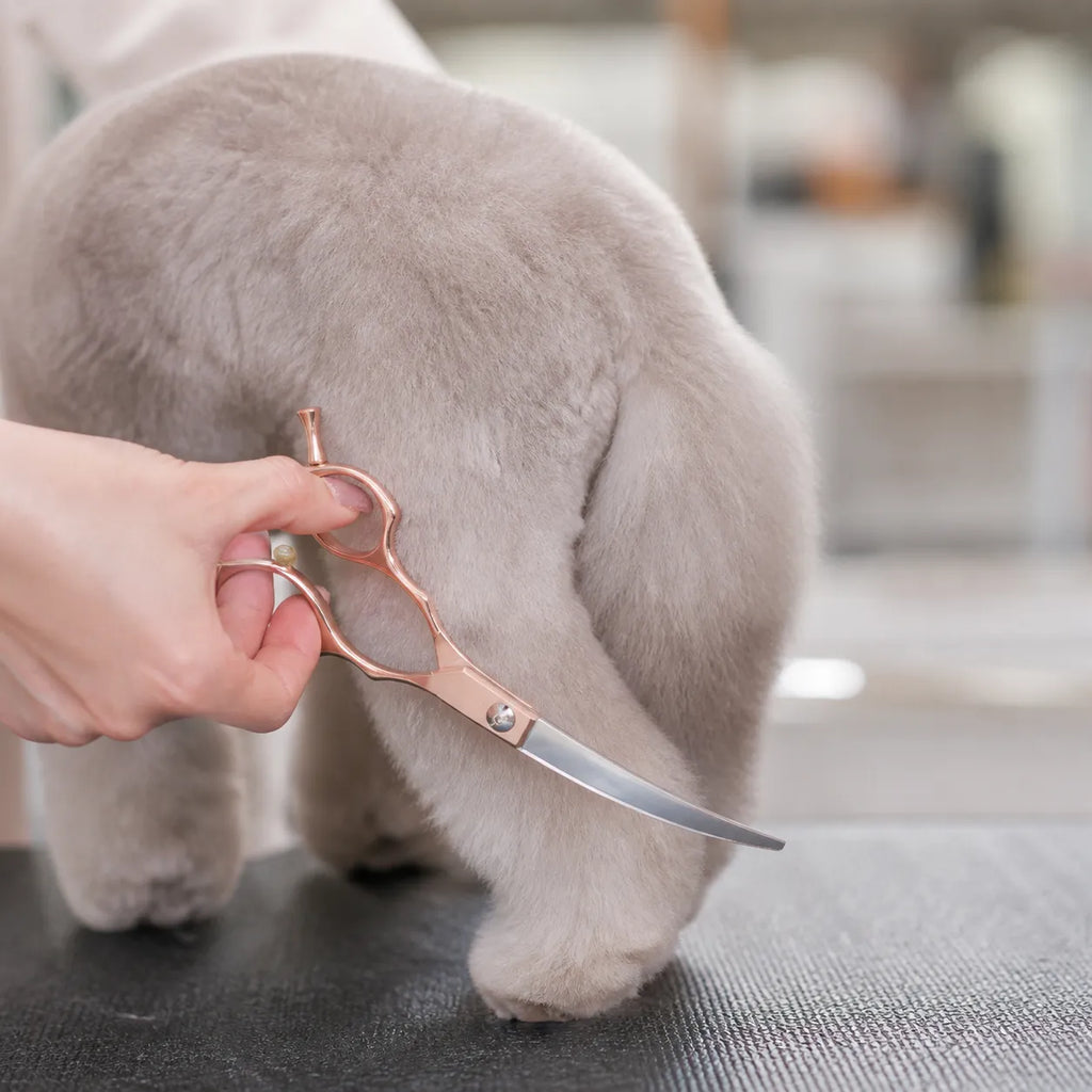 6.5-Inch Rose Gold Pet Grooming Thinning Shears, 15% Tooth Blade Scissors for Dogs and Cats
