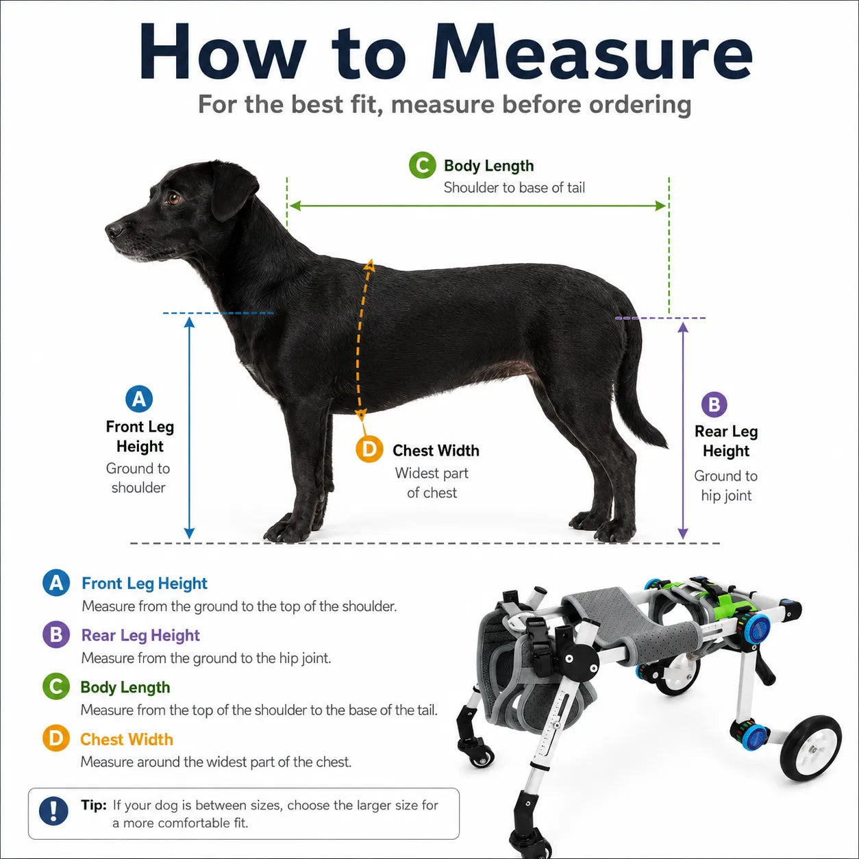 Dog Wheelchair for Disabled Dogs – Full Body Support