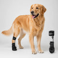 Professional Dog Knuckling Support Brace