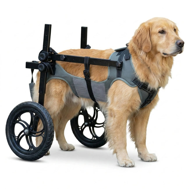 Large Dog Wheelchair for Back Legs Hover Image